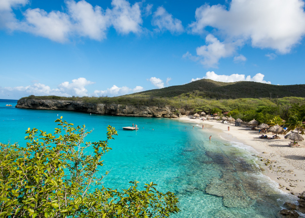 The Real Blue Curaçao