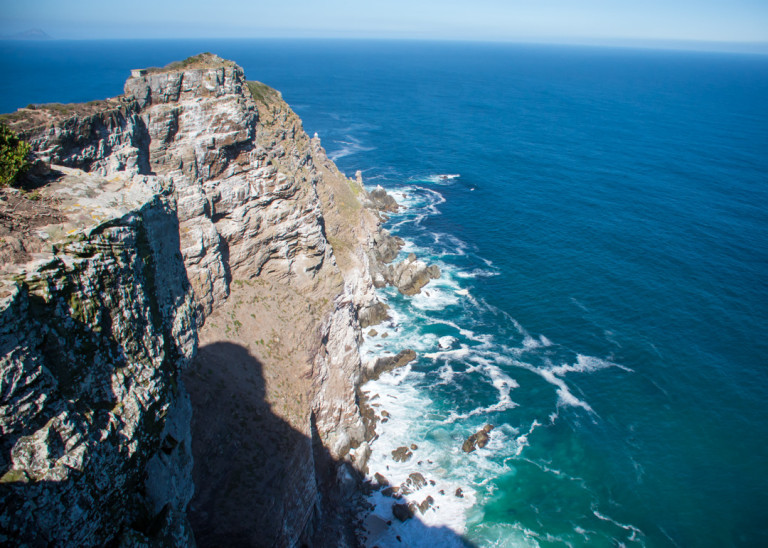 Penguins and Flowers in the Western Cape