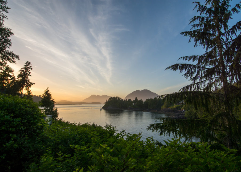 Surf Culture & Old Forest Walks in Tofino, BC | Flying Fourchette