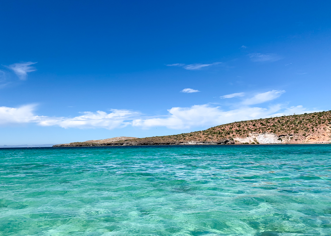 Isla Espiritu Santo - The Galapagos of Mexico | Flying Fourchette