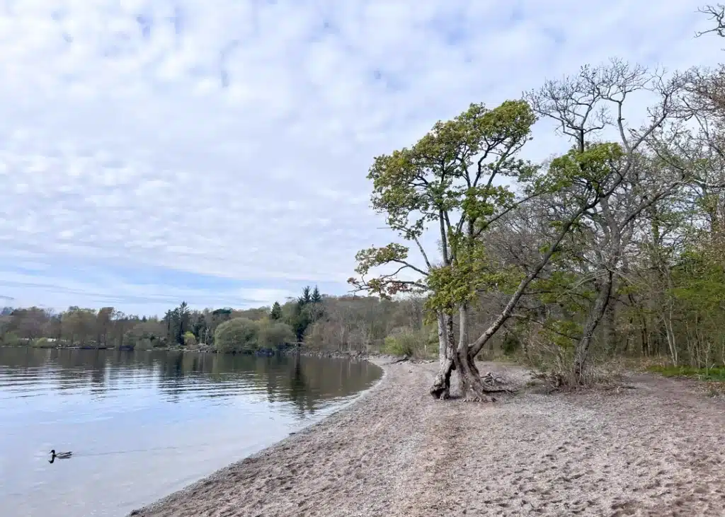 Beach on Loch Lomond