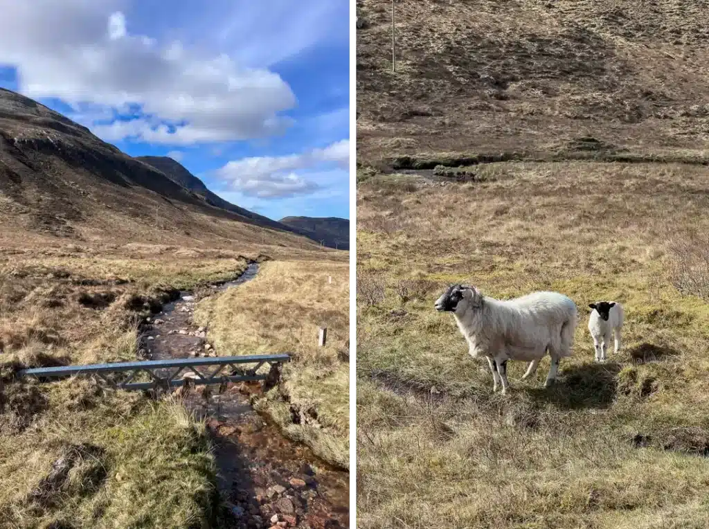 West Highland Way Day 7 to Fort William