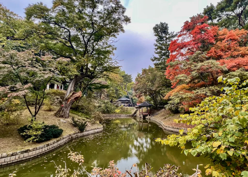 Secret Garden - Changdeokgung Palace