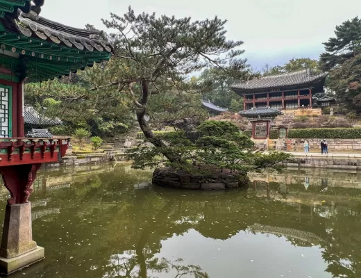 Secret garden - Seoul Palace