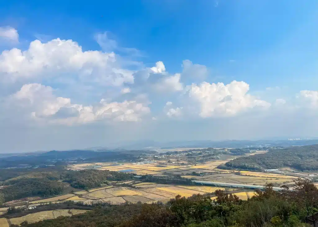 Dora Observatory DMZ